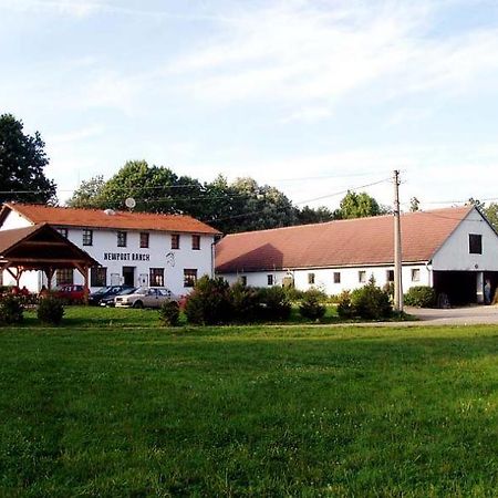 Staj Newport Hotel Dolni Domaslavice Bagian luar foto